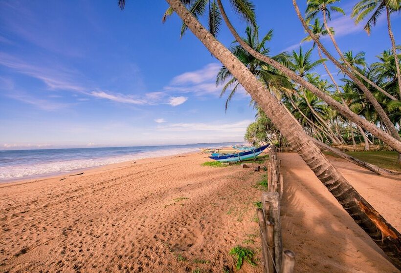 膳宿费 Ardeen Villa