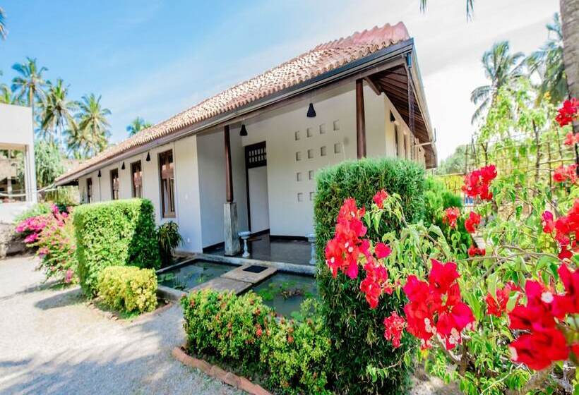 膳宿费 Ardeen Villa