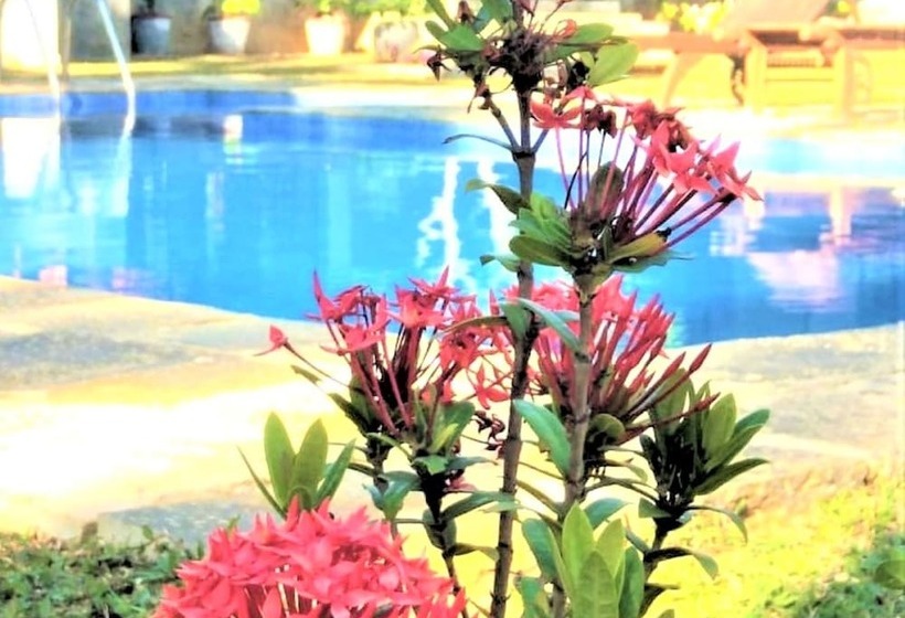 膳宿费 Ardeen Villa