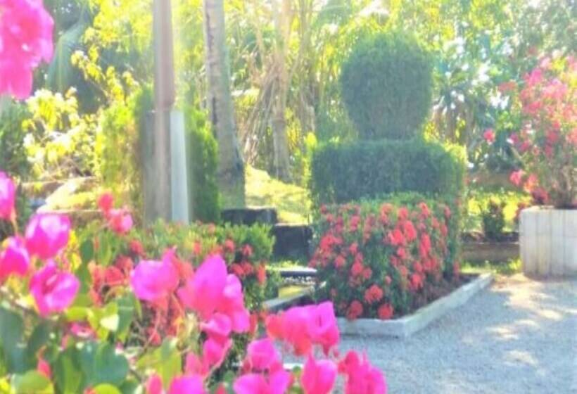 膳宿费 Ardeen Villa