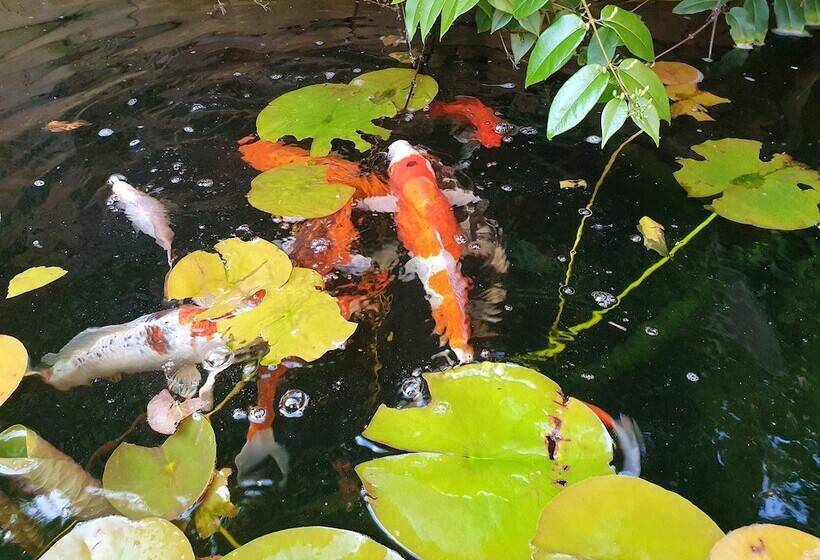 膳宿费 Maison Du Jardin Botanique