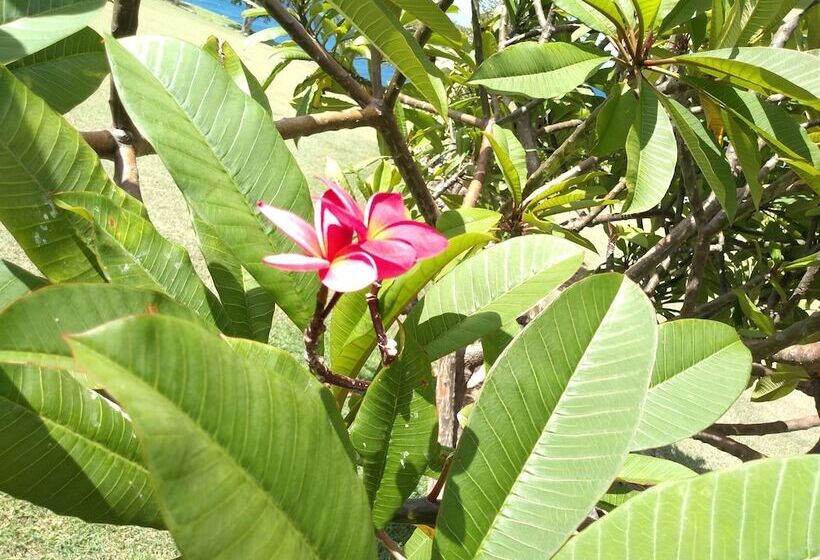 膳宿费 Mill House Guesthouse