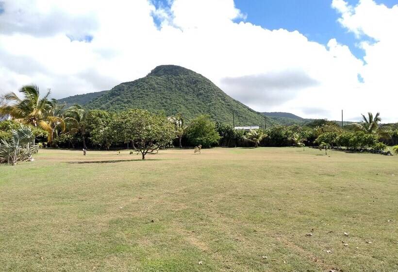 膳宿费 Mill House Guesthouse