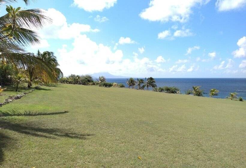 膳宿费 Mill House Guesthouse