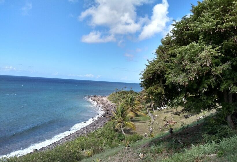 膳宿费 Mill House Guesthouse