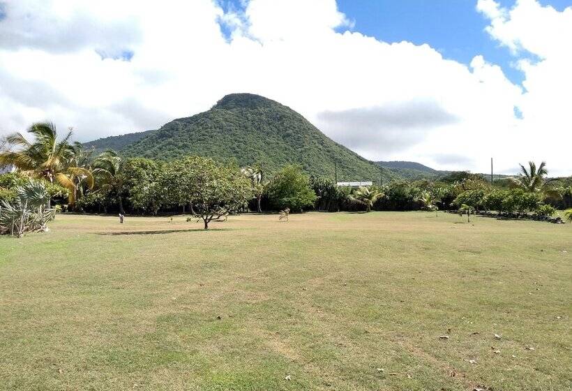 膳宿费 Mill House Guesthouse