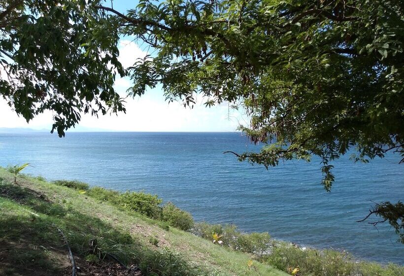 膳宿费 Mill House Guesthouse