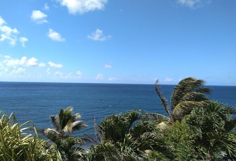 膳宿费 Mill House Guesthouse