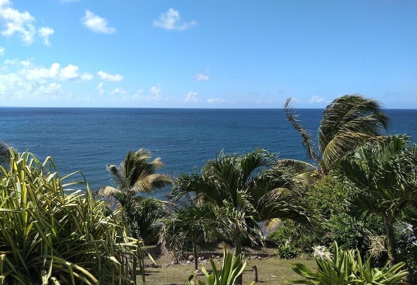 膳宿费 Mill House Guesthouse