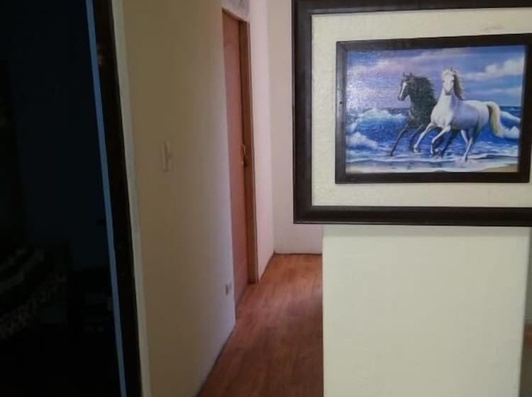 פנסיון Zakaed Home