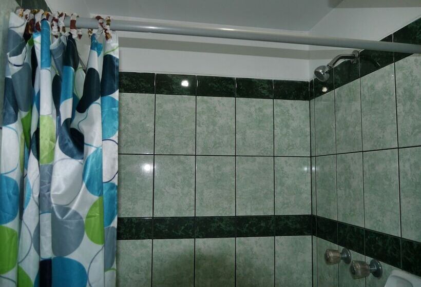 호스텔 Hostal Las Palmeras