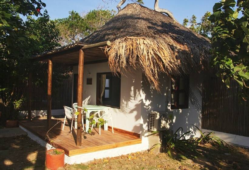 فندق صغير Sunsets Del Rosario