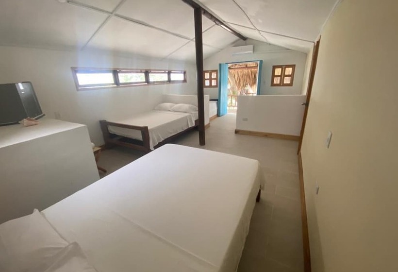 فندق صغير Sunsets Del Rosario