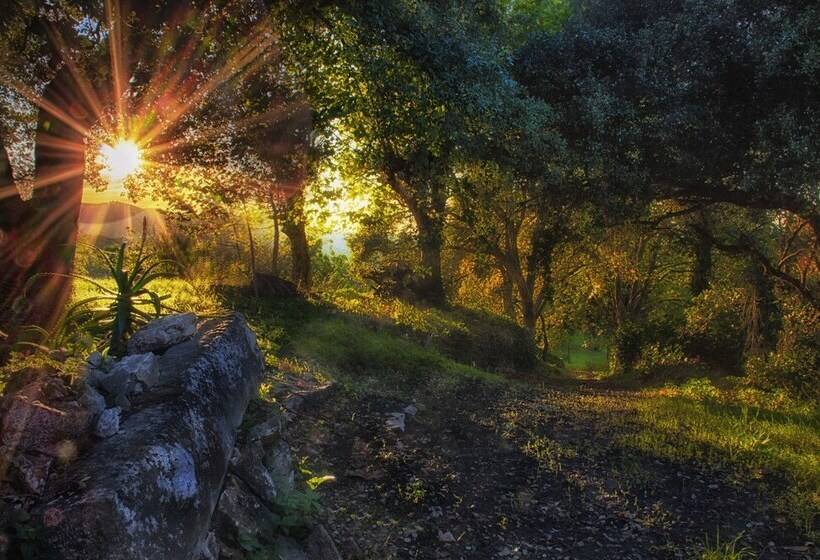 Almáa Sintra Hostel