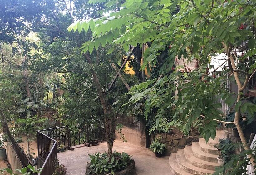 مبيت وإفطار Hacienda San Miguel Bed&breakfast