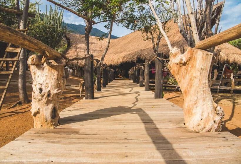 ベッドアンドブレックファースト Larcomar