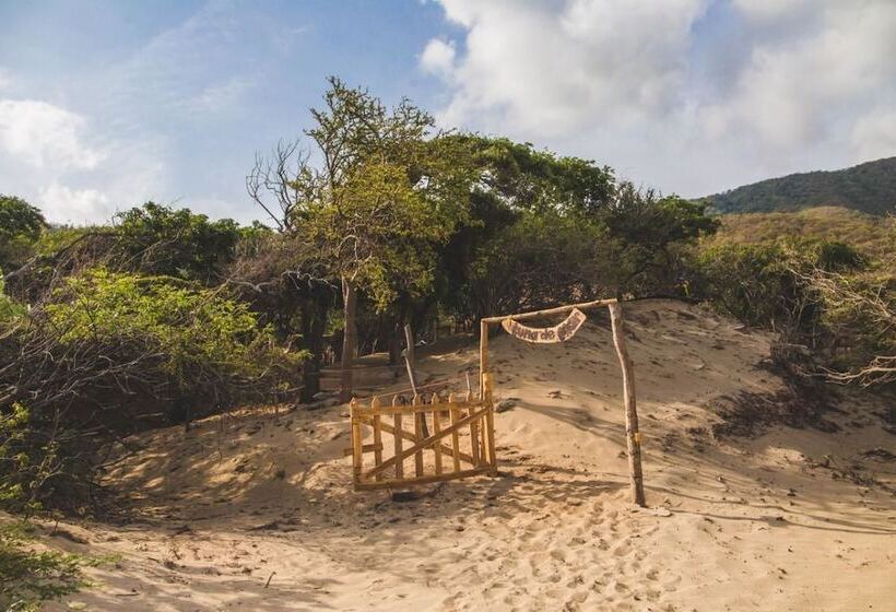 ベッドアンドブレックファースト Larcomar