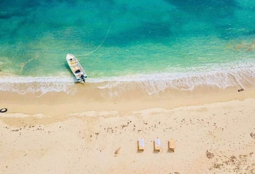 ベッドアンドブレックファースト Larcomar