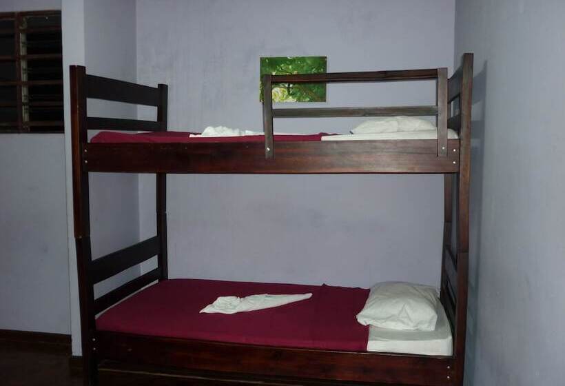 Cala Inn B&b Airport