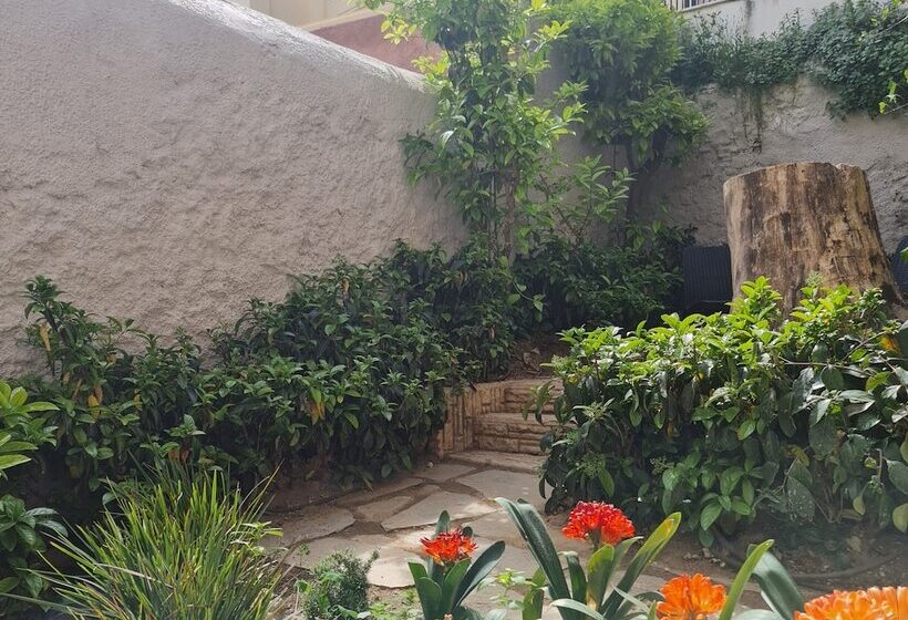 Cityzoe Athens Suites