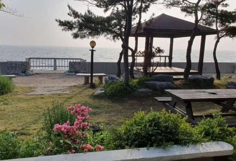 Daebudo Seattle Pension