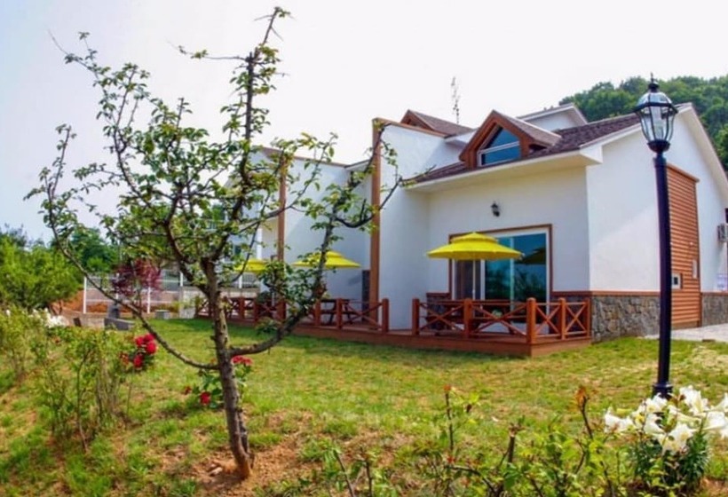 Daebudo White Island Pension