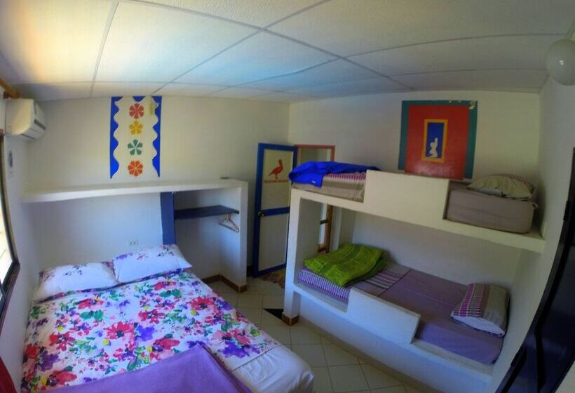 Divanga Hostel