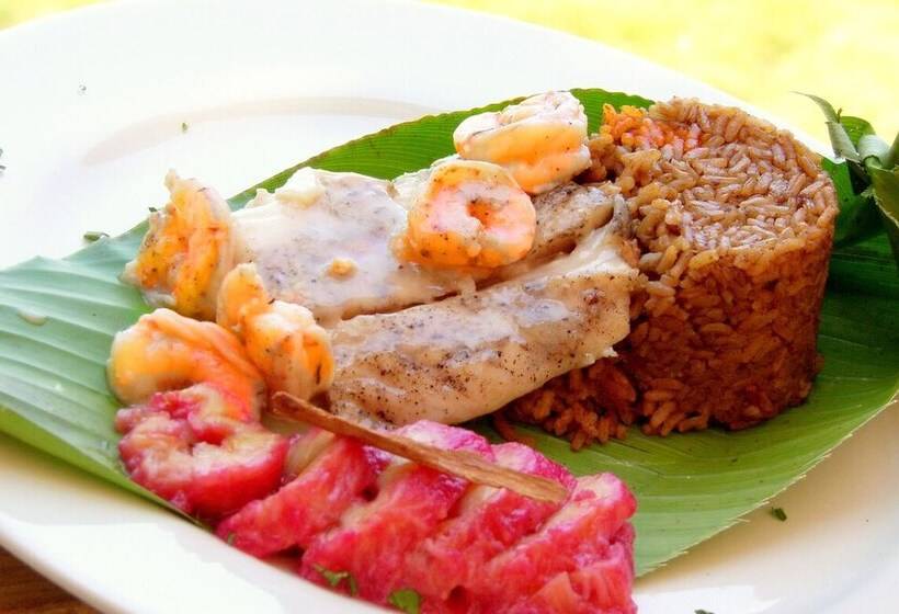 Ecohotel La Cocotera   Hostel