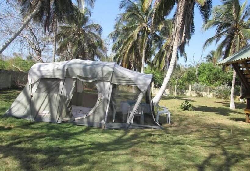 Ecohotel La Cocotera   Hostel