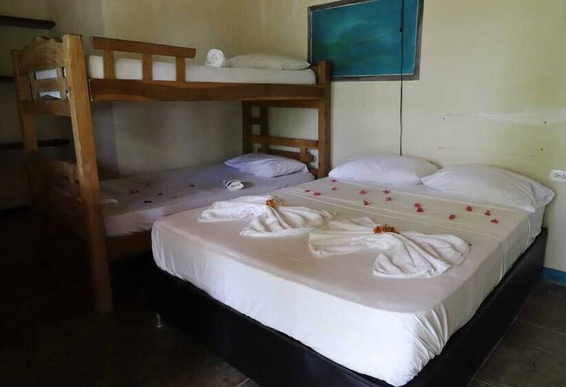 Ecohotel La Cocotera   Hostel