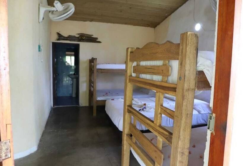 Ecohotel La Cocotera   Hostel