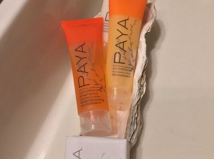 Elevate Rooms Harmony House B&b