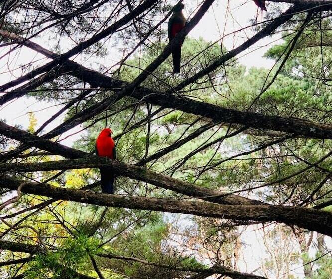 Falls Mountain Retreat