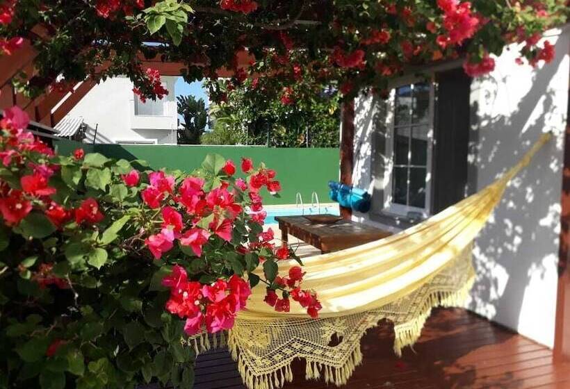 Floripa4you Bed & Breakfast