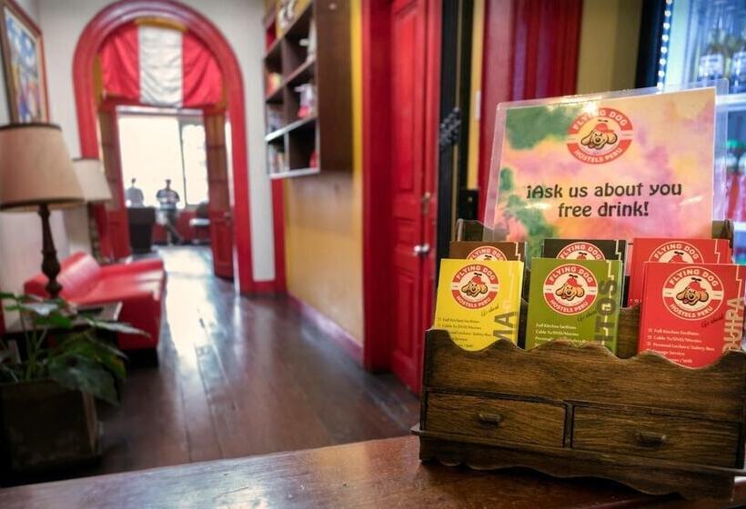 Flying Dog Backpackers Hostel