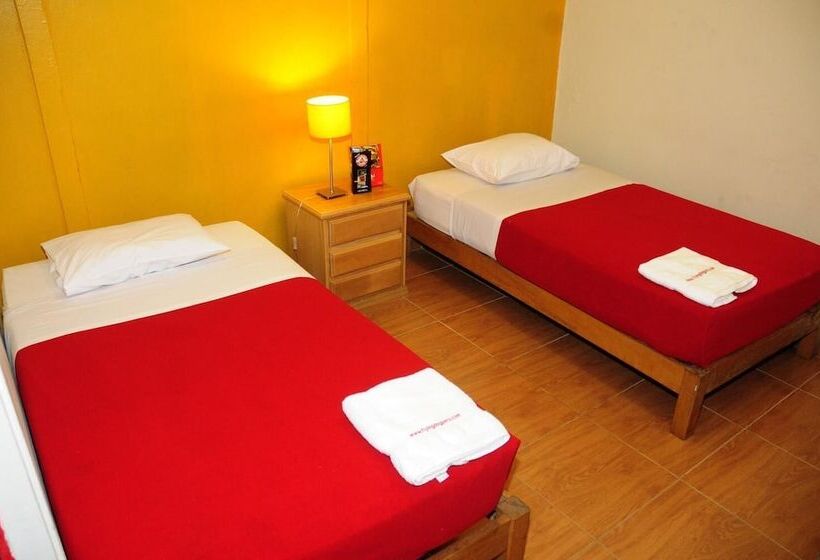 Flying Dog Backpackers Hostel