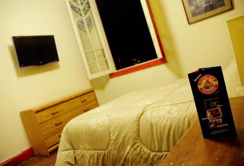 Flying Dog Backpackers Hostel