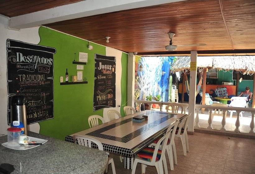 Hostal Garden House   Hostel