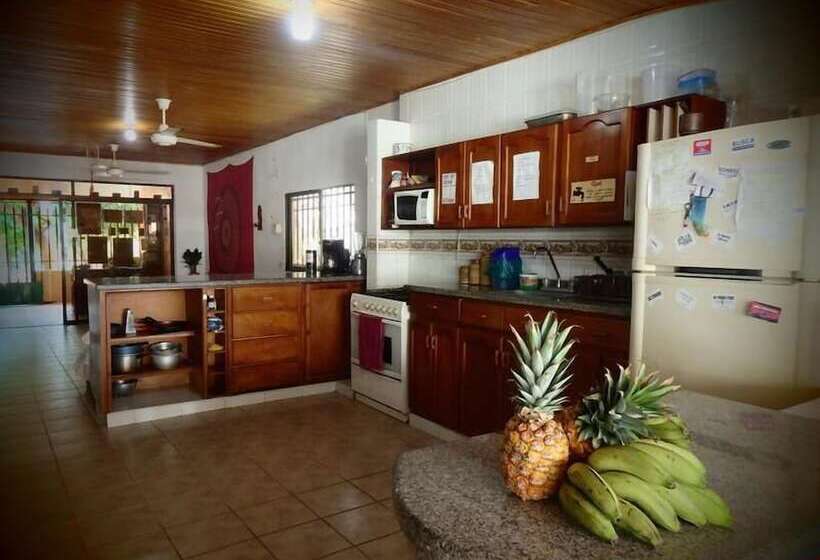 Hostal Garden House   Hostel