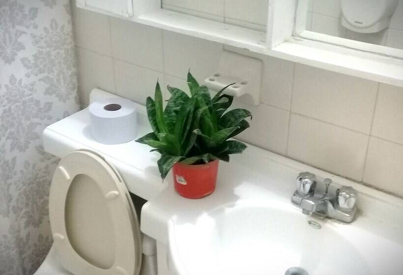 Hostal Garden House   Hostel