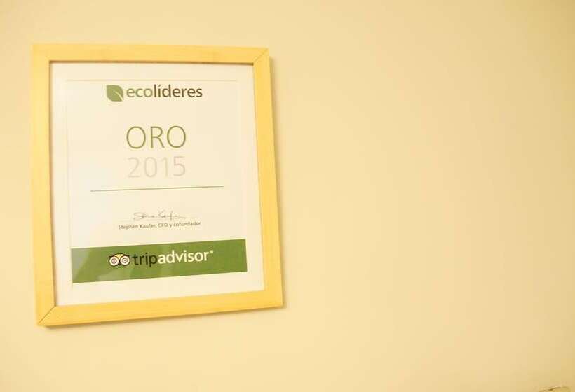 簡易ホテル Javi's Rooms