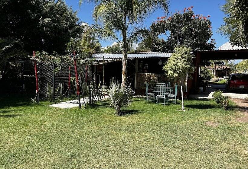 בית מלון כפרי Boutique Paraje San De San Agustín