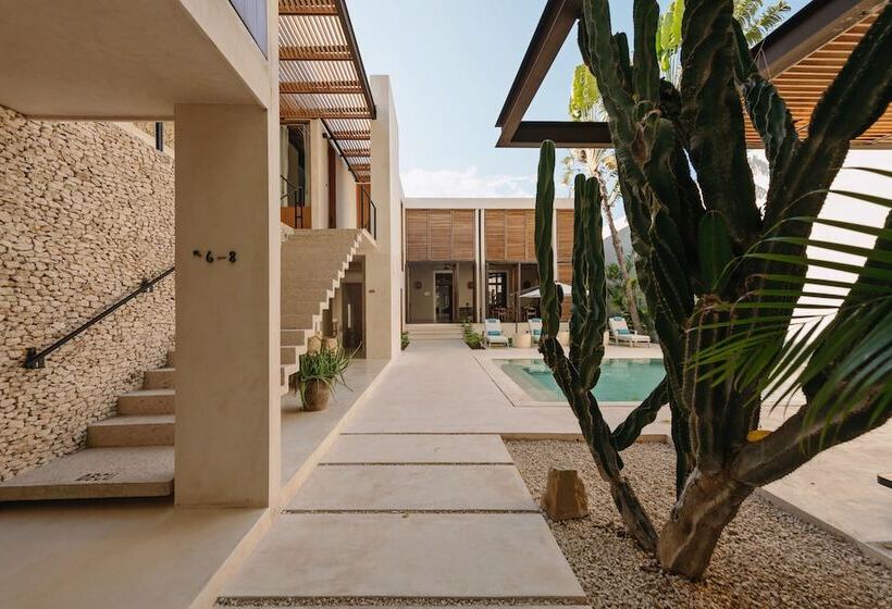 Отель Decu Downtown