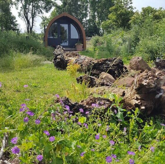 ホテル Eco Indigo