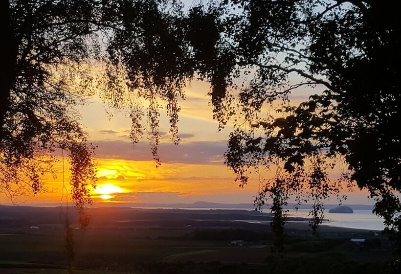 ホテル Eco Indigo