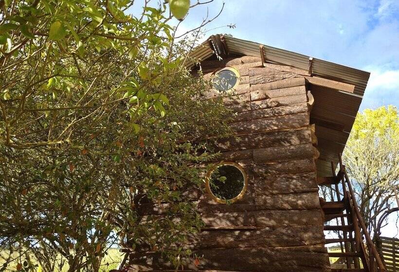 בית מלון כפרי Iwoka Ecoturismo