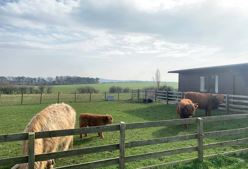 فندق Orchard House Lodges By Ecohuman