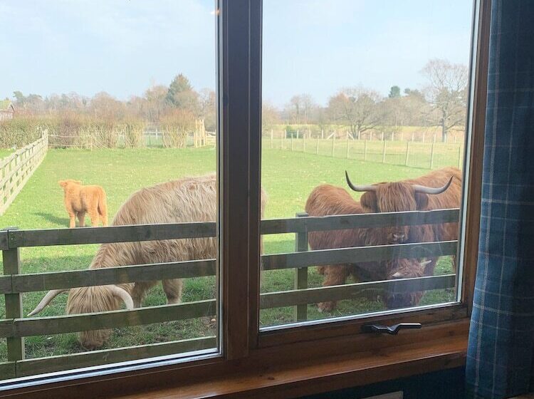 فندق Orchard House Lodges By Ecohuman