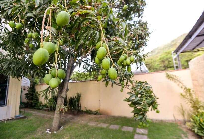 בית מלון כפרי Pousada Praia Do Ribeiro