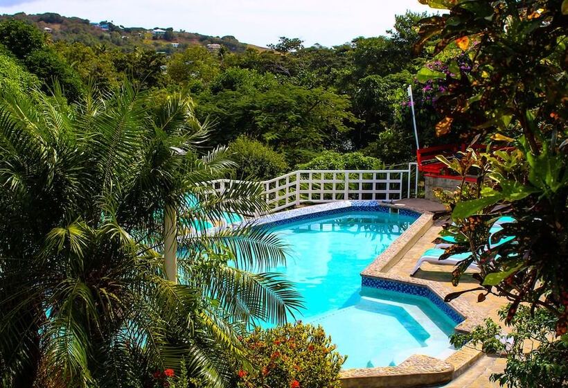 호텔 Sugarapple Inn